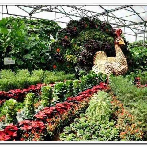 4月22日（周六）寿光蔬菜博览会、牡丹园一日游