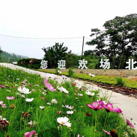 博山赏花采摘亲子一日游