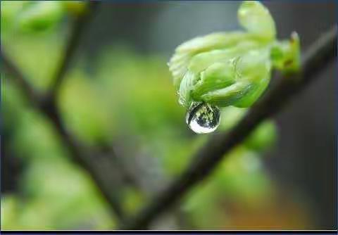 今日雨水