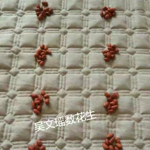 可爱的小豆丁们在数豆子 看看他们是怎样数的呀