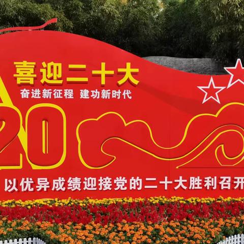 扮靓小区 共庆华诞