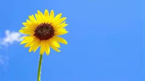 拼父母时代真的来了-----老班对你这样说（十）