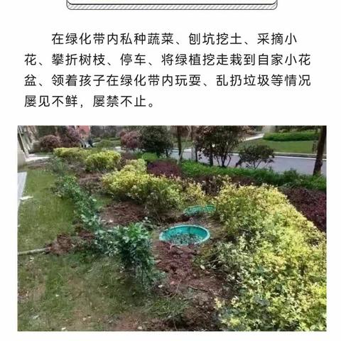 向小区里的不文明行为说“不”！