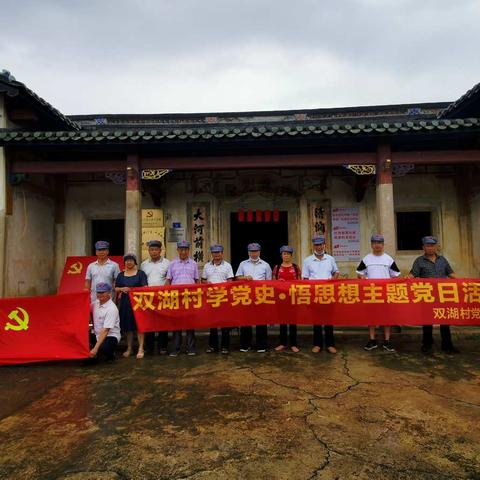 双湖村党支部开展党史学习主题党日活动