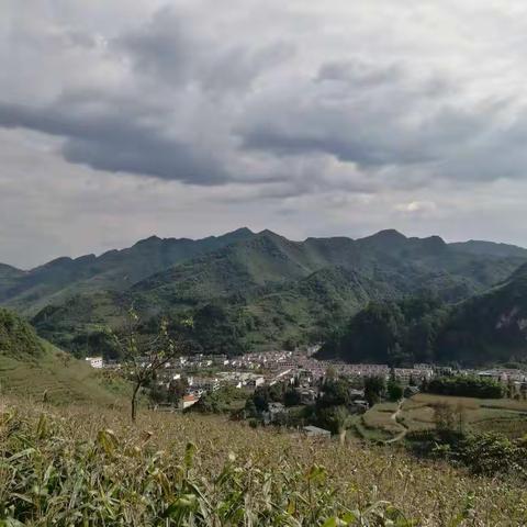 龙井村蝶变叙说