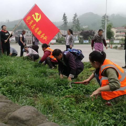 龙井村群众积极参与乡村振兴战略行动