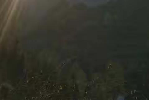 龙井村蝶变的叙说 2