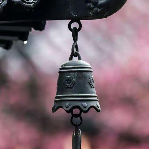 岩山镇九年一贯制学校❷⓿❷❷清明假期安全教育告家长书