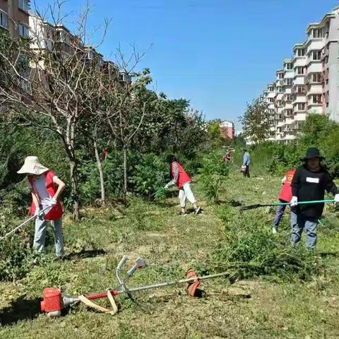 新苑社区开展“在职党员进社区志愿活动”