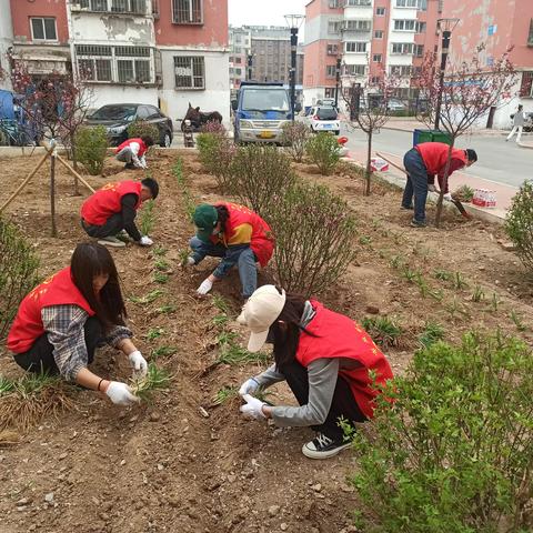 城关街道新苑社区开展“党员做表率携手靓家园”主题党日活动