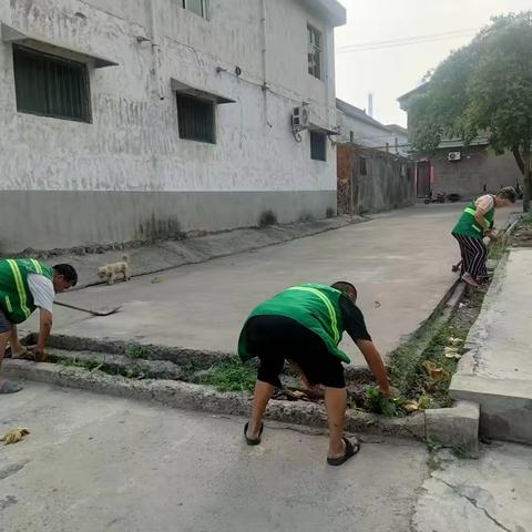 “致敬高温下的奋斗者”环卫工人头顶热浪为人居环境“梳妆”