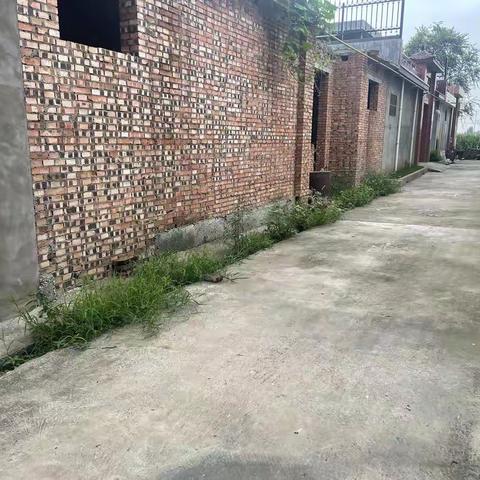 互学互鉴鼓干劲 人居环境新提升