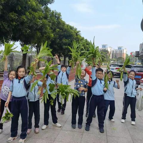 绽放劳动之花，遇见美好成长