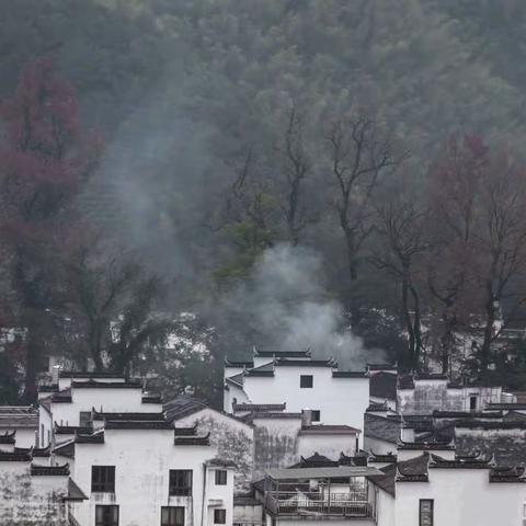 美丽乡村——婺源行