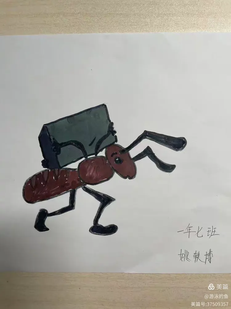 中班勤劳的小蚂蚁课后反思简短(中班科学勤劳的小蚂蚁教案ppt)