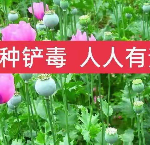 打赢禁毒战役    献礼党的期颐                   ——姜山镇禁毒铲毒工作纪实