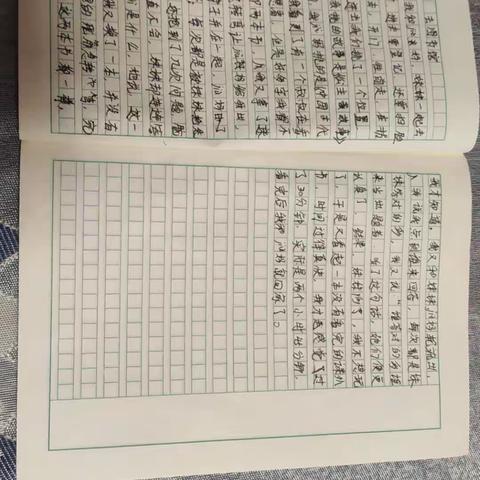 紫色百合的美篇
