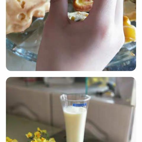 小课题研究：自制小蛋糕