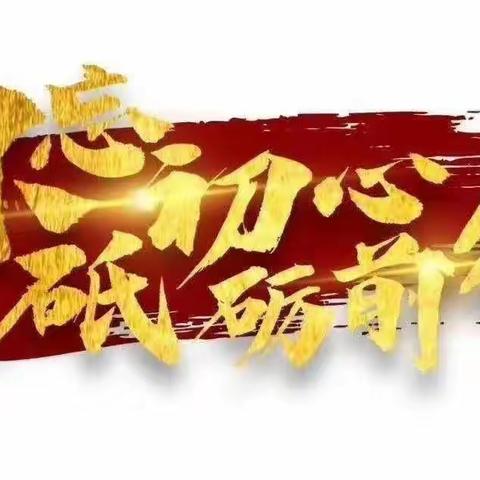 梁鲁村12月份“主题党日+高效统筹疫情防控和经济社会发展”活动