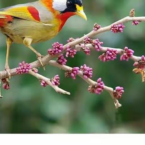 五一班日常生活，你们最棒！