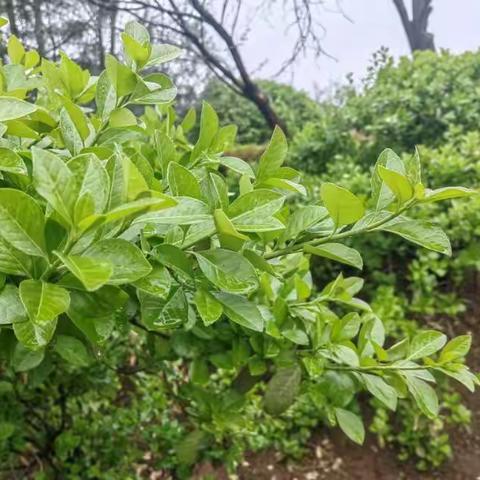 步履匆匆，勿忘沿途风景！