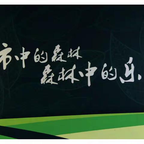八月八日的世博园