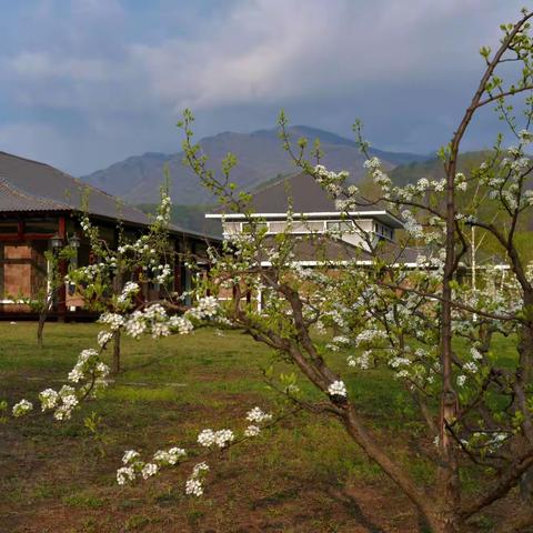 龙祥岛之旅