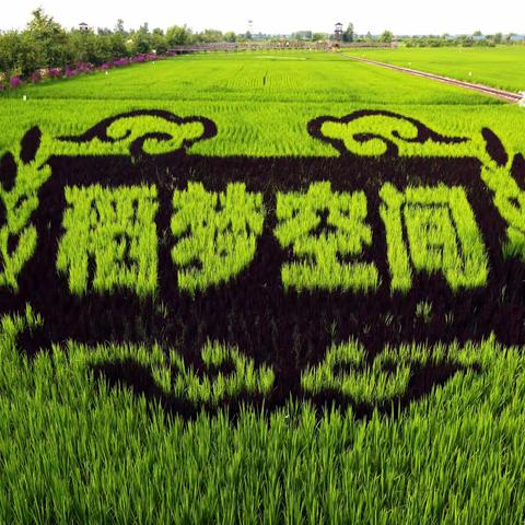 稻梦空间一日游之纪实