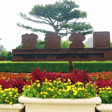 劳动公园的新面貌