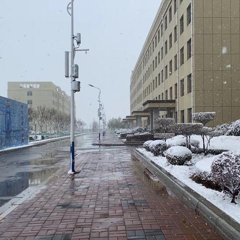 天寒雪飘满校园，教师扫雪暖人心——圣科实验学校清扫积雪纪实