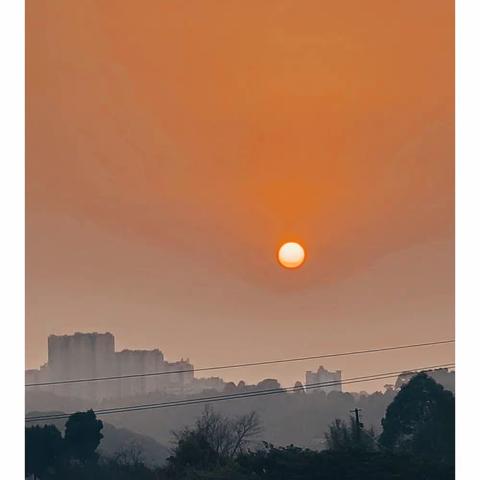 开春了，万物生长。