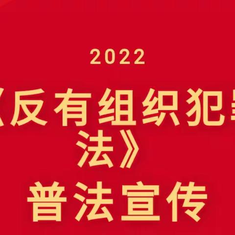 学法懂法守法，同心共筑平安—阳光小天使幼儿园《反有组织犯罪法》普法宣传