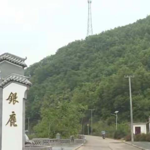 【人居环境逐村看—银鹿村】干部带头，群众参与，共建美丽山村