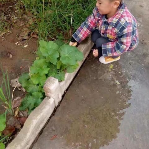 小一班《我爱劳动》