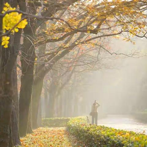 综合类为了欣赏作品，有部分佳片！