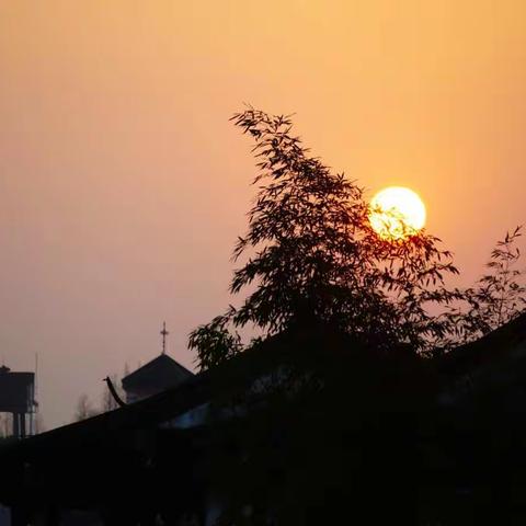 元月十三日斜土聋人影友与铁久摄影协会组织赴分别苏州吴江泗洲禅寺、上海朱家角采风。