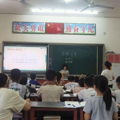 “语”你同行，“研”中成长——西吕营南河马小学语文教研