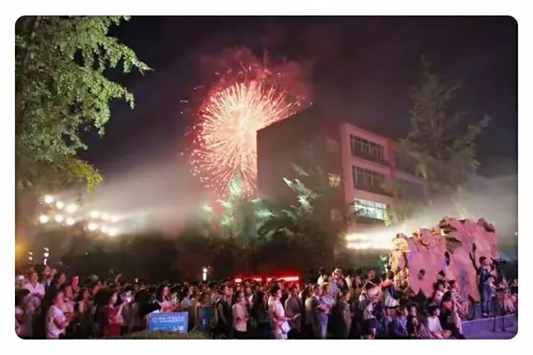 夜空烟火绚烂照亮了整个校园……