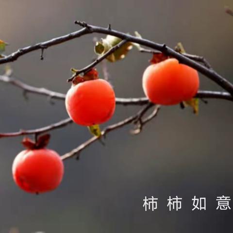 新编民谣 • 立冬三首