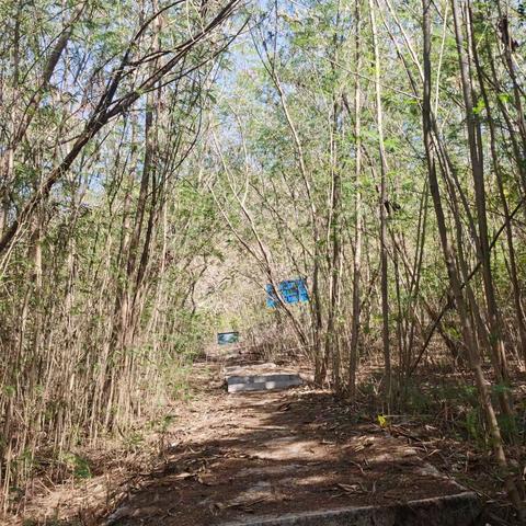 游南山景区小月湾船帆石南岛