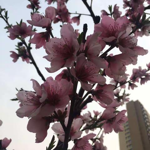 阅读分享，伴我成长