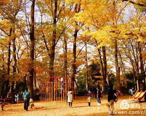 东京深秋印象