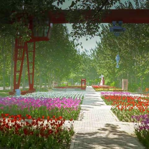 郁金香花语