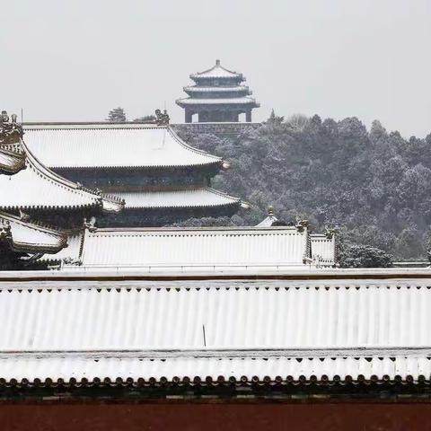春雪飞舞紫禁城