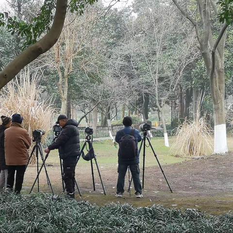 冬日西湖随拍📲