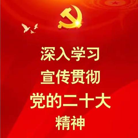 学习二十大，争做好少年——刘庄南新庄小学系列主题活动