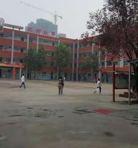 母语教学   审美课堂――暑期培训小学六年级语文第三组第二天学习成果汇报