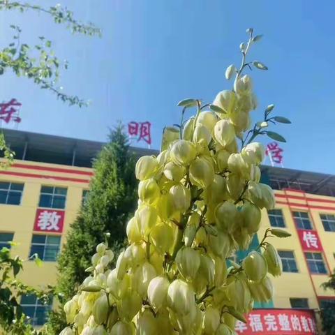 东明学校四年级开学通知