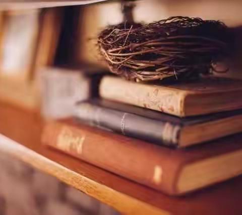 【蔚蓝时光阅读馆】7月份第二批新书上架