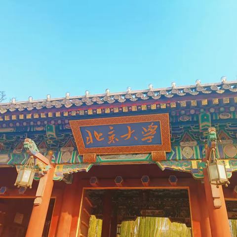 追求卓越新起点，开启教学新征程——“项目化学习”总结